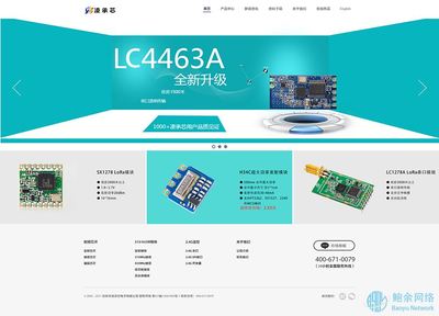 凌承芯-深圳企业网站建设案例