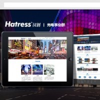 深圳安防公司网站建设方案 *监控企业网站设计费用