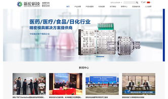 新纶科技官方网站设计制作 成功案例 沙漠风网站建设公司