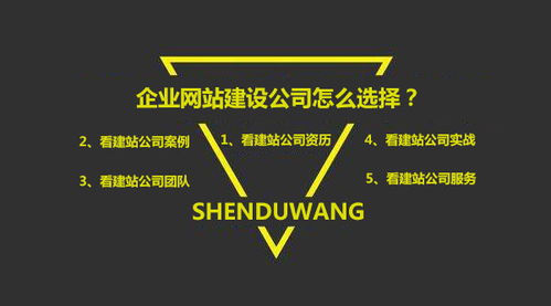 怎么看深圳网站建设公司专不专业