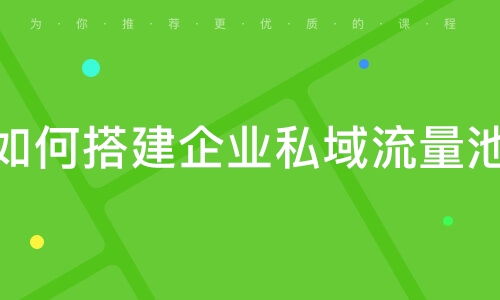 深圳飞橙教育怎么样 深圳飞橙教育 课程价格